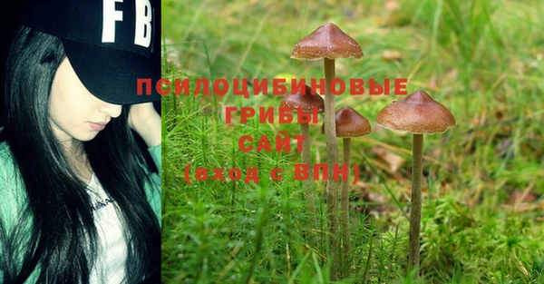 мефедрон Медвежьегорск