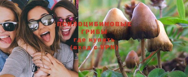 apvp Мегион