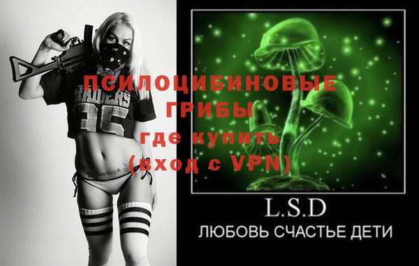 дурь Медногорск
