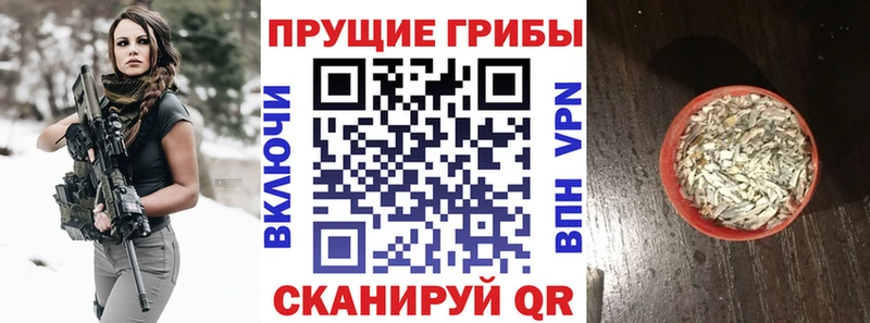 Купить где  Кудымкар  Псилоцибиновые грибы Magic Shrooms 